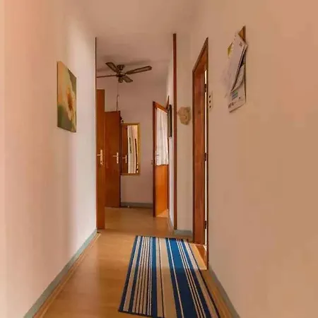 In 53909 * Цриквеница